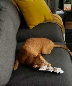 Frisco Halloween Good Witch, Bad Witch Reversible Plush Cat Toy with Catnip 9 Frisco Halloween Good Witch, Bad Witch Reversible Plush Cat Toy with Catnip -Pet Food Gear Shop 270301 PT3. SY630 V1624824841