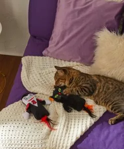 Frisco Vampire & Black Cat Plush Kicker Cat Toy with Catnip, 2 count -Pet Food Gear Shop 270307 PT3. SY630 V1624817053