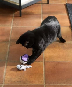 Frisco Halloween Mummy & Coffin Plush Cat Toy with Catnip, 2 count -Pet Food Gear Shop 270309 PT3. SY630 V1624817099