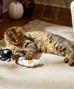 Frisco Halloween Spider & Ghost Plush Cat Toy with Catnip, 2 count -Pet Food Gear Shop 270315 PT3. SY630 V1624817028