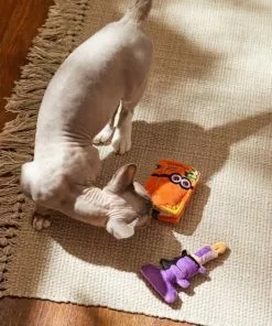 Frisco Halloween Monster Book & Candle Plush Cat Toy with Catnip, 2 count -Pet Food Gear Shop 270321 PT3. SY630 V1624824924