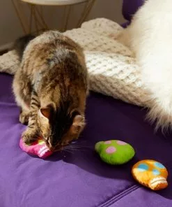 Frisco Colorful Skulls Plush Cat Toy with Catnip, 3 count -Pet Food Gear Shop 270325 PT3. SY630 V1630350992