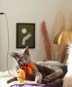 Frisco Halloween Teaser Wand Cat Toy with Catnip, 3 count -Pet Food Gear Shop 270341 PT3. SY630 V1624817557