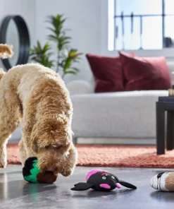 Frisco Cupcakes Plush Squeaky Dog Toy, 3 count -Pet Food Gear Shop 270367 PT3. SY630 V1624817674