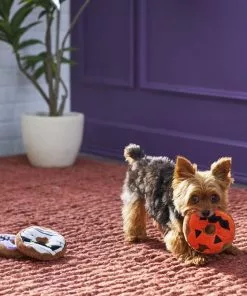 Frisco Halloween Donuts Plush Squeaky Dog Toy, 3 count -Pet Food Gear Shop 270369 PT3. SY630 V1624817409