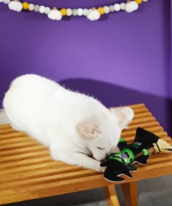 Frisco Halloween Good Witch, Bad Witch Reversible Plush Squeaky Dog Toy -Pet Food Gear Shop 270429 PT3. SY630 V1624817643