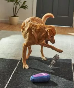 Frisco Halloween Mummy & Coffin Plush Squeaky Dog Toy, 2 count -Pet Food Gear Shop 270437 PT3. SY630 V1624817278