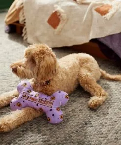Frisco Halloween My First Halloween Bone Reversible Plush Squeaky Dog Toy -Pet Food Gear Shop 270452 PT3. SY630 V1624817314