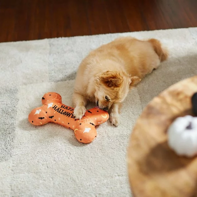 Frisco Halloween All the Ghouls Love Me Bone Reversible Plush Squeaky Dog Toy 6 Frisco Halloween All the Ghouls Love Me Bone Reversible Plush Squeaky Dog Toy - Image 4
