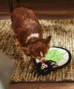 Frisco Spider's Web & Spider Flat Plush Interactive Squeaky Dog Toy, 2 count -Pet Food Gear Shop 270458 PT3. SY630 V1624817520