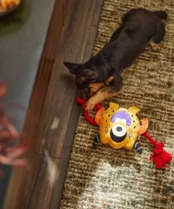 Frisco Friendly Monster Plush with Rope Squeaky Dog Toy -Pet Food Gear Shop 270474 PT3. SY630 V1624824917