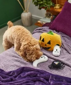 Frisco Halloween Jack-o-Lantern Hide & Seek Puzzle Plush Squeaky Dog Toy -Pet Food Gear Shop 270492 PT3. SY630 V1624817005