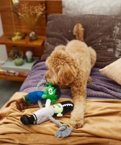 Frisco Frankenstein & Bride Plush with Rope Squeaky Dog Toy -Pet Food Gear Shop 270496 PT3. SY630 V1624824775