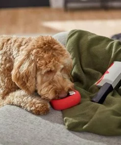 Frisco Halloween Vampire Teeth & Knife Latex Squeaky Dog Toy, 2 count 7 Frisco Halloween Vampire Teeth & Knife Latex Squeaky Dog Toy, 2 count -Pet Food Gear Shop 270512 PT3. SY630 V1624817093