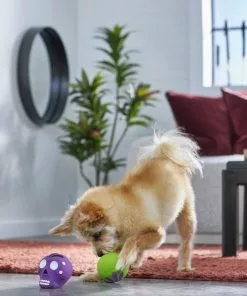 Frisco Halloween Sugar Skulls Latex Squeaky Dog Toy, 2 count 7 Frisco Halloween Sugar Skulls Latex Squeaky Dog Toy, 2 count -Pet Food Gear Shop 270518 PT3. SY630 V1624825050