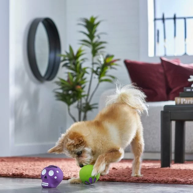 Frisco Halloween Sugar Skulls Latex Squeaky Dog Toy, 2 count 5 Frisco Halloween Sugar Skulls Latex Squeaky Dog Toy, 2 count - Image 3