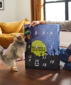 Frisco Halloween 13 Day Advent Calendar with Toys for Dogs -Pet Food Gear Shop 270527 PT3. SY630 V1624817578
