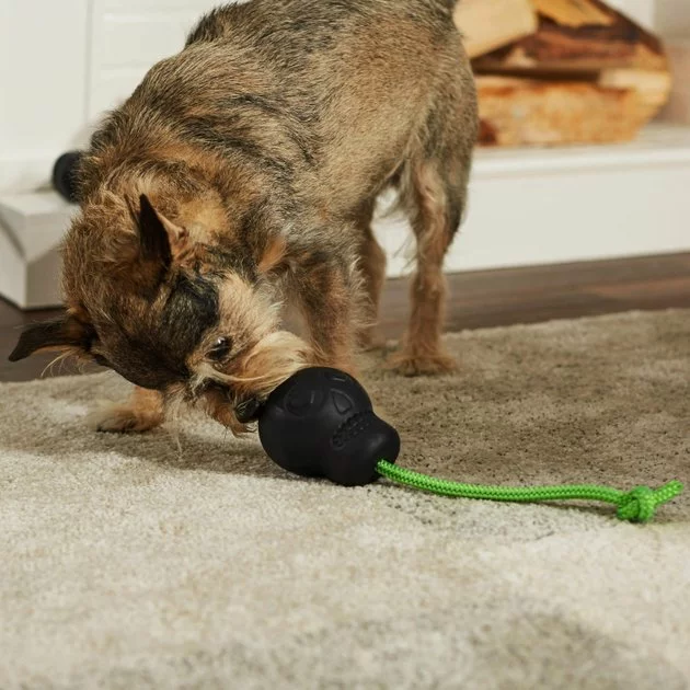 Frisco Skull with Rope Rubber Dog Toy 5 Frisco Skull with Rope Rubber Dog Toy - Image 3
