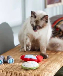 Frisco Camping Compass & Lantern Plush Cat Toy with Catnip, 2 count 7 Frisco Camping Compass & Lantern Plush Cat Toy with Catnip, 2 count -Pet Food Gear Shop 270985 PT3. SY630 V1625009053