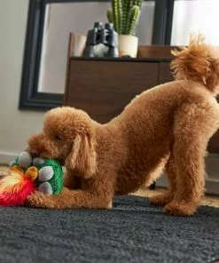 Frisco Camping Campfire Plush Squeaky Dog Toy -Pet Food Gear Shop 270987 PT3. SY630 V1625009045