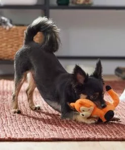 Frisco Camping Fox Plush Squeaky Dog Toy -Pet Food Gear Shop 270993 PT3. SY630 V1625008975