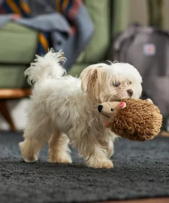 Frisco Camping Hedgehog Plush Squeaky Dog Toy 7 Frisco Camping Hedgehog Plush Squeaky Dog Toy -Pet Food Gear Shop 270995 PT3. SY630 V1625009251