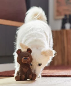 Frisco Camping Bear Plush Squeaky Dog Toy -Pet Food Gear Shop 270999 PT3. SY630 V1625009284