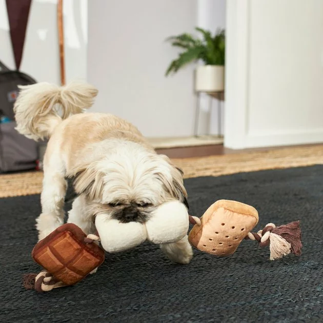 Frisco Camping S'mores Plush with Rope Squeaky Dog Toy 5 Frisco Camping S'mores Plush with Rope Squeaky Dog Toy - Image 3