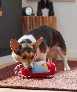 Frisco Camping Lantern Plush with Rope Squeaky Dog Toy -Pet Food Gear Shop 271013 PT3. SY630 V1625160766