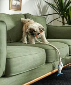 Frisco Camping Fishing Rod Plush with Rope Squeaky Dog Toy -Pet Food Gear Shop 271015 PT3. SY630 V1625009036