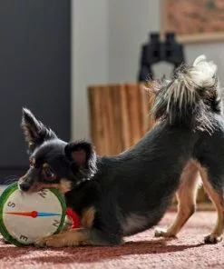 Frisco Camping Compass Plush with Rope Squeaky Dog Toy -Pet Food Gear Shop 271020 PT3. SY630 V1625008965