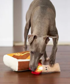 Frisco Camping Match Box 2-in-1 Plush Squeaky Dog Toy -Pet Food Gear Shop 271029 PT3. SY630 V1625008996