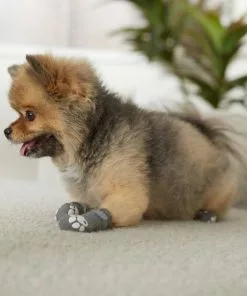 Frisco Non-Skid Cable Knit Dog Socks -Pet Food Gear Shop 272473 PT8. SY630 V1634830684