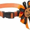 Frisco Orange Glitter Dog Collar with Pumpkin Ribbon -Pet Food Gear Shop 272844 MAIN. SY630 V1624047756
