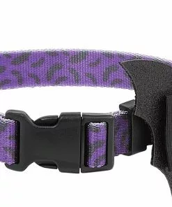 Frisco Purple Bat Wing Dog Collar with Wings