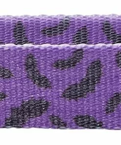 Frisco Purple Bat Wing Dog Collar with Wings -Pet Food Gear Shop 272852 PT2. SY630 V1624047745