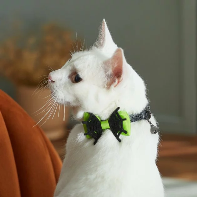 Frisco Spiderweb Cat Collar with Spiderweb Bow 6 Frisco Spiderweb Cat Collar with Spiderweb Bow - Image 4