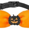 Frisco Black Glitter Cat collar with Pumpkin Bow 1 Frisco Black Glitter Cat collar with Pumpkin Bow -Pet Food Gear Shop 272866 MAIN. SY630 V1624047482
