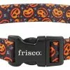 Frisco Spooky Pumpkin Dog Collar -Pet Food Gear Shop 272878 MAIN. SY630 V1624047448