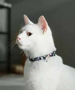 Frisco Flying Ghosts Cat Collar -Pet Food Gear Shop 272888 PT8. SY630 V1623879659