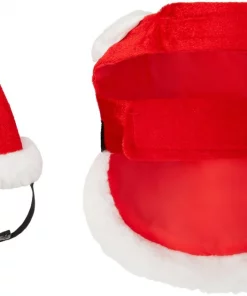 Frisco Santa Claus Guinea Pig Costume, One Size -Pet Food Gear Shop 276178 PT5. SY630 V1631303129