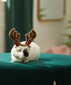 Frisco Holiday Antlers Guinea Pig Headpiece -Pet Food Gear Shop 276182 PT8. SY630 V1631303001