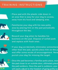 Frisco Training & Potty Pads, 22-in x 23-in, 150 count, Unscented & Frisco Extra Large Training & Potty Pads, 28-in x 34-in, 40 count, Unscented 19 Frisco Training & Potty Pads, 22-in x 23-in, 150 count, Unscented & Frisco Extra Large Training & Potty Pads, 28-in x 34-in, 40 count, Unscented -Pet Food Gear Shop 276223 PT8. SY630 V1616191304