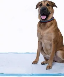 Frisco Giant Training & Potty Pads, 27.5-in x 44-in, 30 count, Unscented & Frisco Training & Potty Pads, 22-in x 23-in, 150 count, Unscented -Pet Food Gear Shop 276225 PT4. SY630 V1616192497