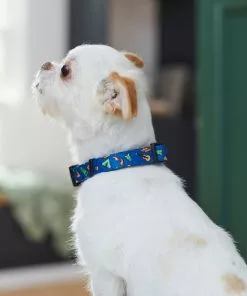 Frisco Camping Fun Dog Collar -Pet Food Gear Shop 276637 PT3. SY630 V1623766574