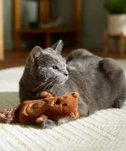 Frisco Camping Bear Kicker Cat Toy with Catnip 7 Frisco Camping Bear Kicker Cat Toy with Catnip -Pet Food Gear Shop 276762 PT3. SY630 V1625009229