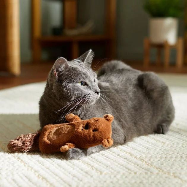 Frisco Camping Bear Kicker Cat Toy with Catnip 5 Frisco Camping Bear Kicker Cat Toy with Catnip - Image 3