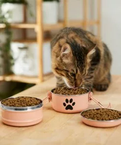 Frisco Complete Travel Stainless Steel Dog & Cat Feeder Bowl -Pet Food Gear Shop 277506 PT3. SY630 V1630347802