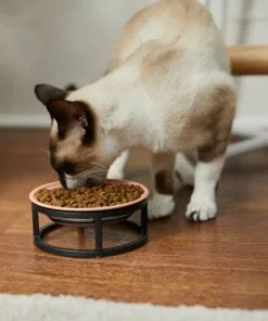 Frisco Paw Print Elevated Stainless Steel Dog & Cat Bowl -Pet Food Gear Shop 277513 PT3. SY630 V1630348076