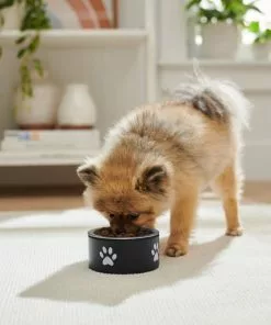 Frisco Paw Print Non-Skid Stainless Steel Dog & Cat Bowl 10 Frisco Paw Print Non-Skid Stainless Steel Dog & Cat Bowl -Pet Food Gear Shop 277541 PT2. SY630 V1630346506